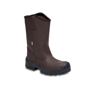 Bota saga 3046